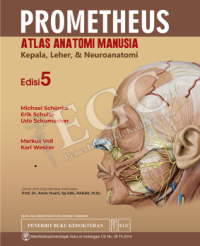 Image of Prometheus Atlas Anatomi Manusia: Kepala, Leher, dan Neuroanatomi Edisi 5