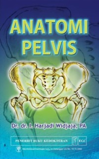 Image of Anatomi Pelvis