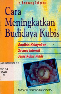 Image of Cara Meningkatkan Budidaya Kubis: Analisis Kelayakan Secara Intensif Jenis Kubis Putih